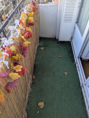 PXL_20251208_142134874