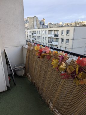 PXL_20251208_145238715